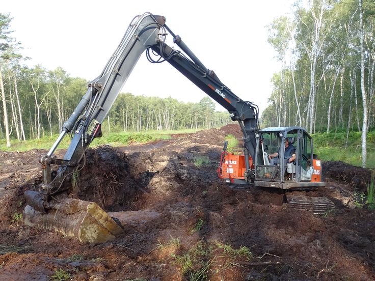 Dammbau im Bissendorfer Moor: Auf den von Bäumen befreiten Arbeitstrassen werden Verwallungen aufgebaut, die das Regenwasser im Moor zurückhalten (Bildrechte: Jens Fahning, NLWKN).