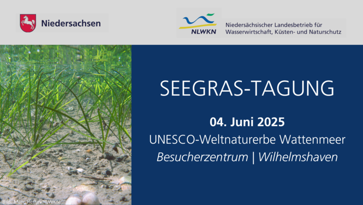 Seegrastagung