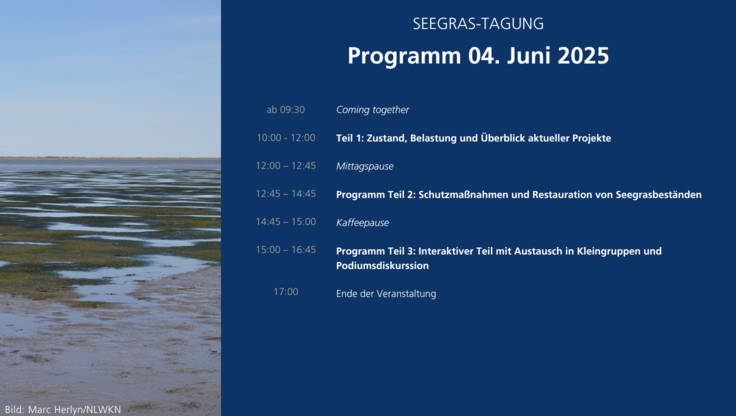 Seegrastagung