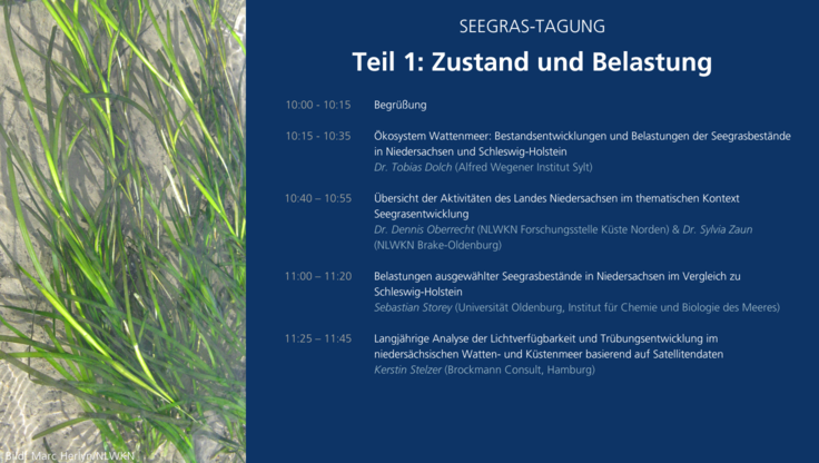 Seegrastagung