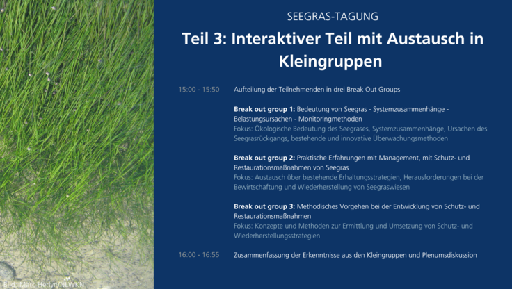 Seegrastagung