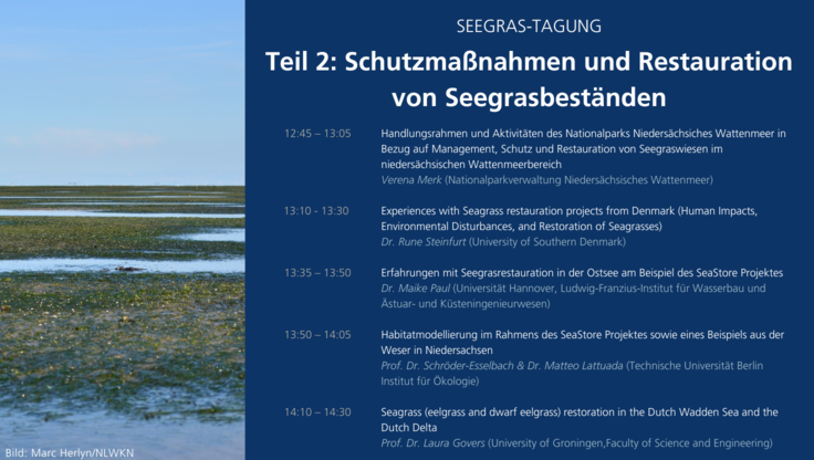 Seegrastagung