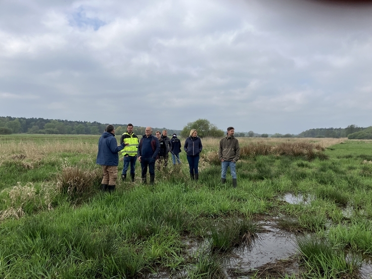 Ein ungewöhnlicher Anblick in diesem trockenen Frühjahr: Hohe Wasserstände auf landeseigenen Grünlandflächen in der Wümmeniederung (Foto Hannah Burmester).