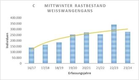 Mittwinter-Rastbestand 2017-2024