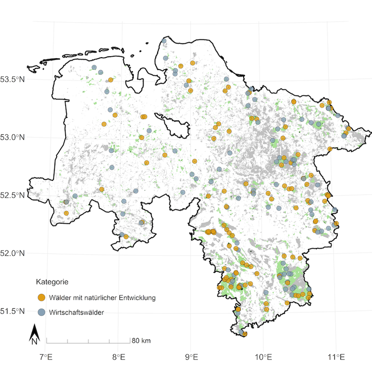 Lage der 205 Stichprobenflächen des Biodiversitäts-Monitorings im Landeswald, von denen sich 27 Stichproben in Naturwäldern , 87 in Wäldern mit natürlicher Entwicklung (NWE) sowie 91 in Wirtschaftswäldern befinden.