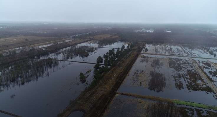 Drohnenaufnahme des Renaturierungsprojekts Großes Moor während des Hochwassers im Winter 2023/2024