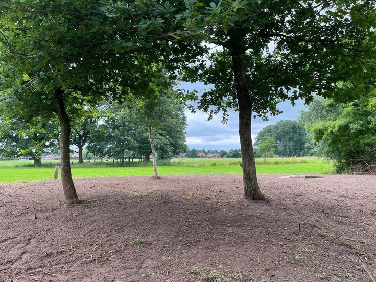Durch diesen einwöchigen Arbeitseinsatz wurde die Grundlage für weitere Instandsetzungsmaßnahmen auf dem nun freigelegten jüdische Friedhof in Smarlingen gelegt. (Foto: Kerstin Bojunga / NLWKN)
