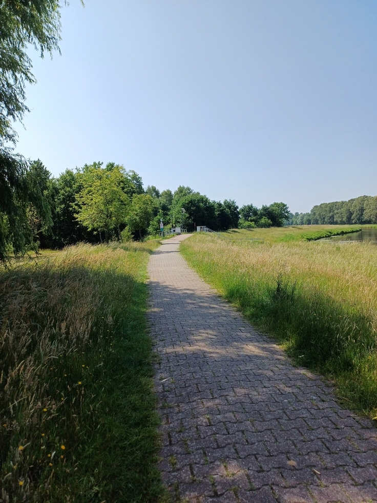Der Fuß- und Radweg am Hochwasserrückhaltebecken Haselünne wird ab dem 15. September vom NLWKN saniert und daher zum Teil gesperrt.
