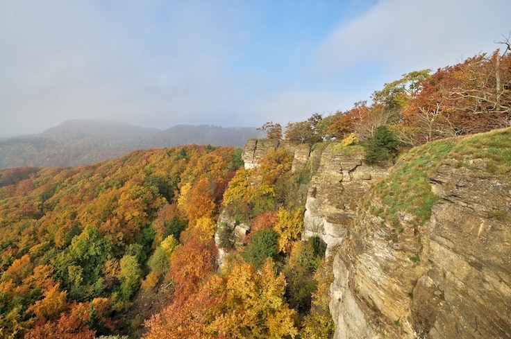 Süntel mit Hohenstein