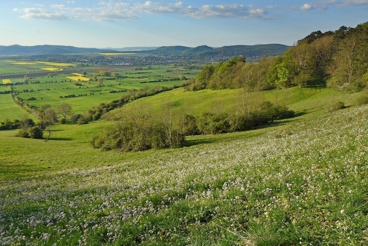 Holzbergwiesen