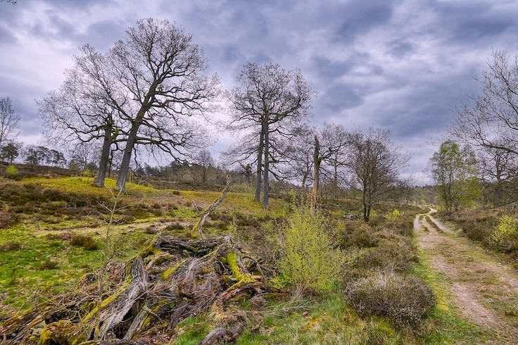 Flächen für den Biotopverbund werden u.a. durch die Ausweisung von Schutzgebieten gesichert (hier das NSG „Breeser Grund“) - das Bundesnaturschutzgesetz bzw. das Niedersächsische Naturschutzgesetz sind dafür die rechtlichen Grundlagen.