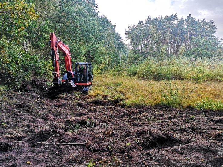 Bei der Umsetzung der Arbeiten setzen die Naturschützer auf Erfahrung – und einen besonders bodenschonenden Raupenbagger (Bild: Wolfrath/NLWKN).