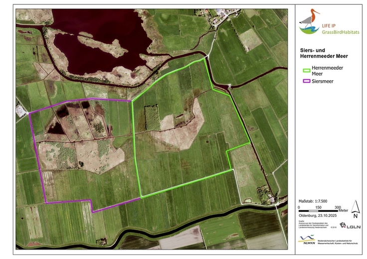 Die insgesamt 146 Hektar große Projektfläche im Bereich des Siers- und Herrenmeeder Meeres im Überblick (Karte: NLWKN/LGLN).