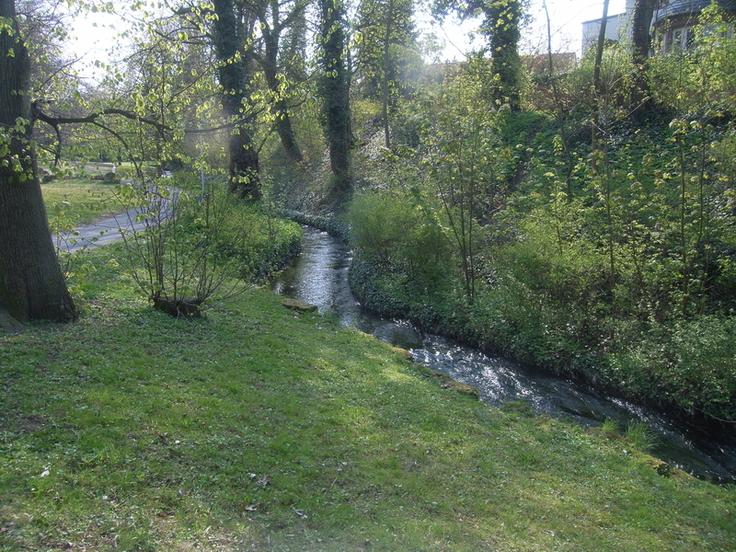 Der unscheinbar wirkende Fluss Warne im Landkreis Hildesheim kann bei einem Jahrhunderthochwasser zur Gefahr werden.