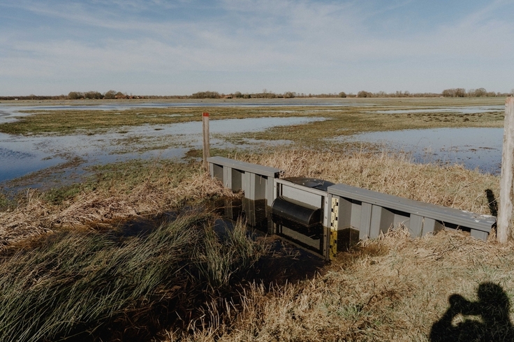 Solide Arbeit: Die 2025 eingebauten Stauanlagen halten die offenen Flächen in der Bleckriede nass.