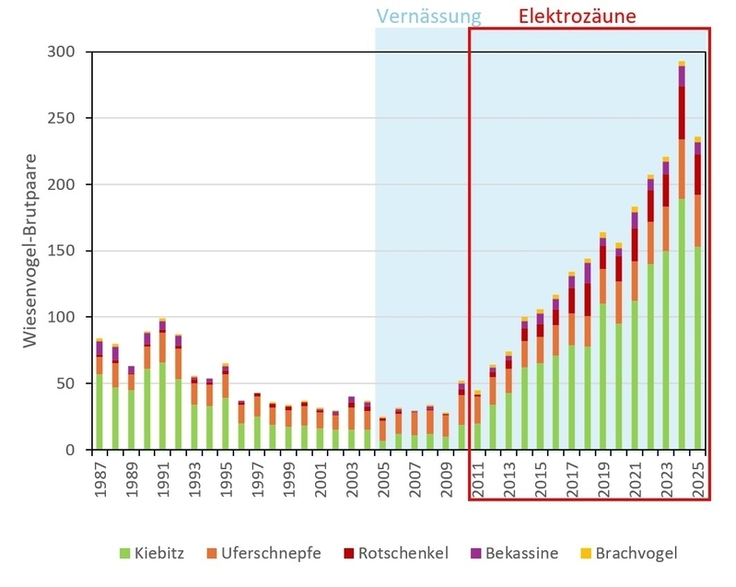 Bestandsentwicklung der Wiesenvögel in der Bleckriede. Seitdem Flächen eingezäunt und vernässt werden, steigen die Bestände stark an.