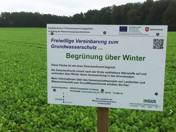 Durch eine Begrünung von Ackerflächen auch im Winter kann ein Auswaschen überschüssiger Nährstoffe ins Grundwasser verhindert werden (Bild: Ingus).