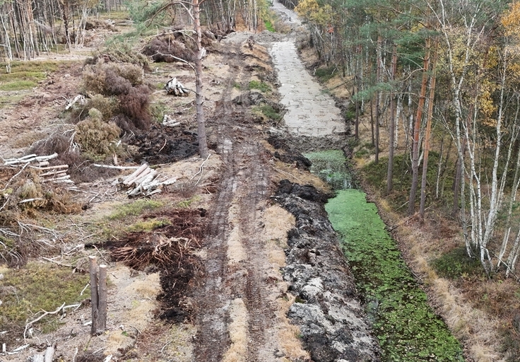 Bereich der Arbeitstrasse für den Dammbau (links im Foto) und Verschluss und Rückbau des 2,5 m tiefen Kaltenweider Hauptvorfluters durch das Bissendorfer Moor (rechts und hinten im Foto).