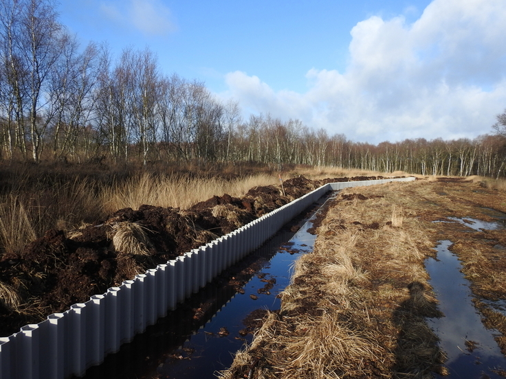 Das Einziehen von Spundwänden, wie hier im Februar 2020 im Veenhuser Königsmoor, ist eine von mehreren technischen Möglichkeiten in der Wiedervernässung. (Foto: Zietz, NLWKN)