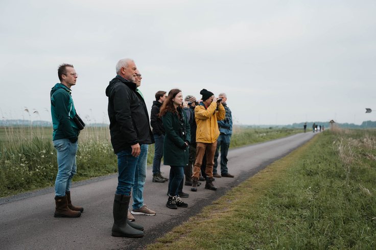 „Early Bird“ Exkursion in einem der Kerngebiete am Dümmer. Vor Ort konnten Uferschnepfen, Schafstelzen, Kampfläufer und weitere Wiesenvogelarten in ihrem Lebensraum beobachtet werden. (Foto: G. La Spina)