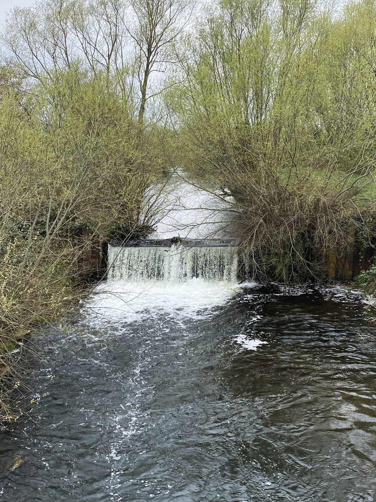 Elf solcher Sohlabstürze auf drei Kilometern Länge verhindern bisher eine Wanderung für Fische und Kleinlebewesen. Der NLWKN will das ändern (Bild: NLWKN).