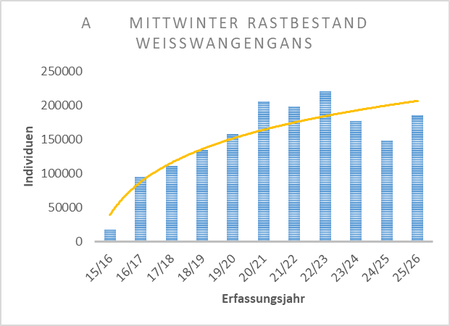 Mittwinter-Rastbestand 2017-2026 (durchgehend beauftragte Monitoringflächen)