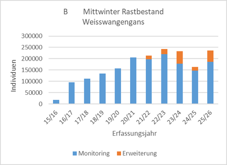 Mittwinter-Rastbestand 2017-2026 (durchgehend beauftragte Monitoringflächen sowie seit 2021 zusätzlich kontinuierlich erfasste Flächen)