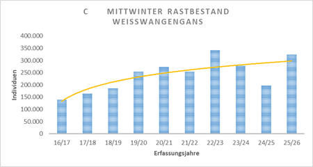 Mittwinter-Rastbestand 2017-2026 Gesamtrastbestände seit 2016/17 (Summe aus gutachterlich ermittelten Rastbeständen (Abb B) zuzüglich Daten von ehrenamtlichen Meldern außerhalb der EU-Vogelschutzgebietskulisse.
