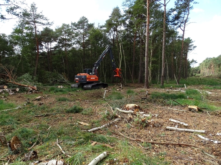 Das letzte Baufenster 2025/2026 wurde im Helstorfer Moor dafür genutzt, die Bautrassen von Gehölz freizustellen und für die kommenden Erdbauarbeiten vorzubereiten.