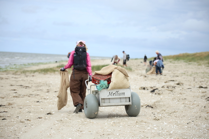 Gemeinsames Anpacken: Bei einer Müllsammelaktion auf Mellum wurde der Strand von Unrat befreit
