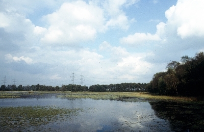 NSG "Ahlder Pool (Schwatte Venn)"