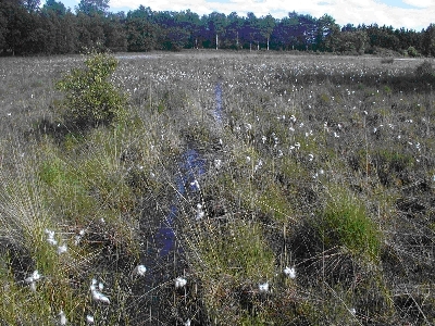 Grundmoränensee Schwarzes Meer