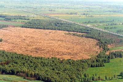 Hochmoor Wymeer