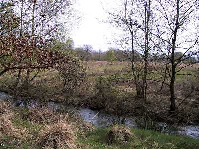 Foto aus dem Naturschutzgebiet Upjever und Sumpfmoor Dose