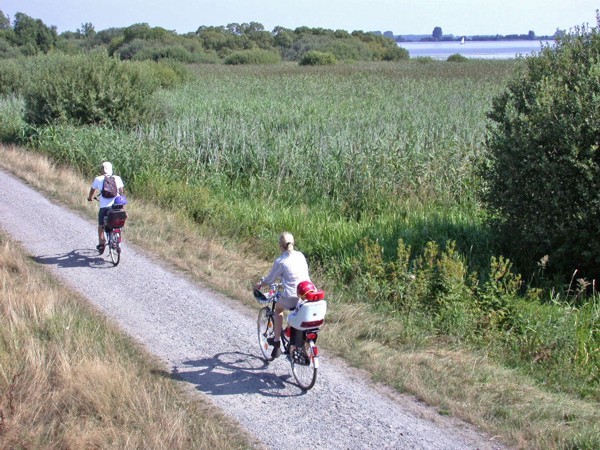 Radtour am Dümmer