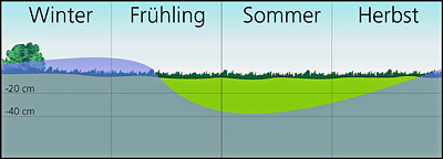 Schematische Darstellung der Wasserstände im Jahresverlauf