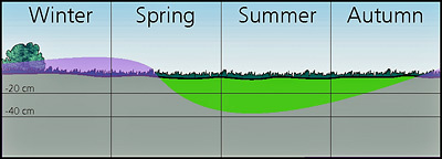 Waterlevel in time of season