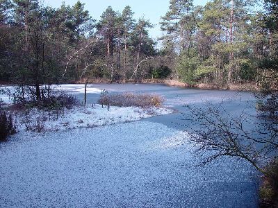 Grundloses Moor - Moorsee