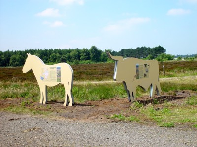 Lebensgroße Silhouetten von Konik-Pferd und Heckrind