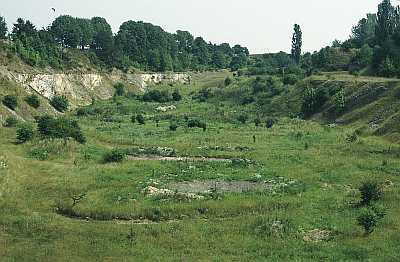 Kalksteinbruch am Lohlberg