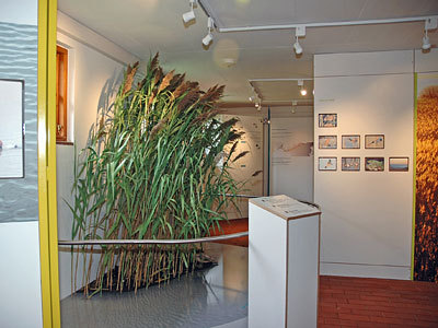 Permanent exhibition in the nature conservation base