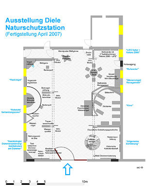 Dauerausstellung in der Naturschutzstation Dümmer