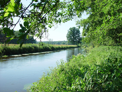 Die Ilmenau südlich von Melbeck