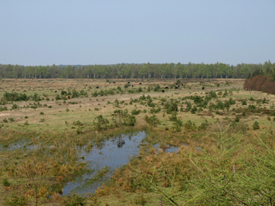 Blick vom Aussichtsturm nach Norden