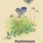 Hochmoore