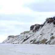 Schutzdünen auf Langeoog