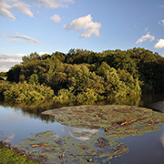 Förderung der Seenentwicklung