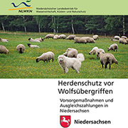 Herdenschutz vor Wolfsübergriffen