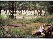 Die Welt der kleinen Wölfe