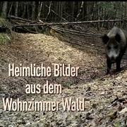 Heimliche Bilder aus dem Wohnzimmer Wald